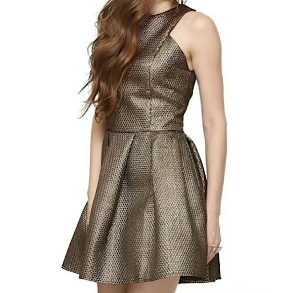 green emerald velvet dress Ivy Blue & Gold Metallic Skater Dress – Girl In Mind main image 0